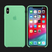 iPhone X Silicone Case — Spearmint
