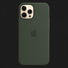 iPhone 12 Pro Max Silicone Case — Cyprus Green